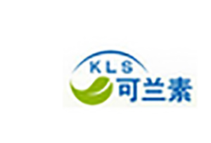 江苏可兰素汽车环保科技有限公司